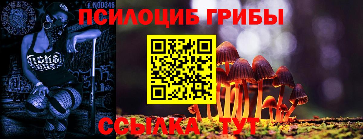 Галлюциногенные грибы мицелий Алексин