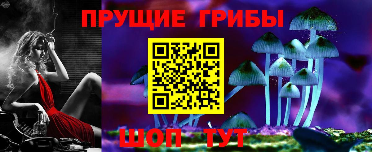 Галлюциногенные грибы Psilocybine cubensis  хочу   Алексин  Псилоцибиновые грибы MAGIC MUSHROOMS  Вход с VPN 